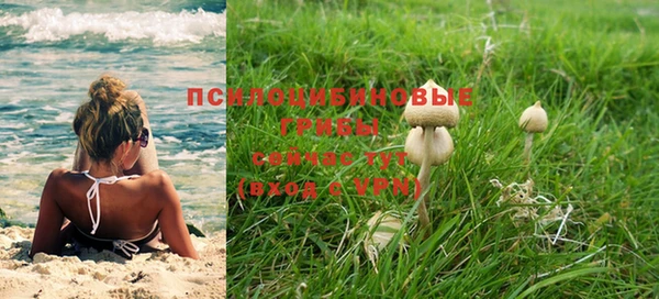 2c-b Алексеевка
